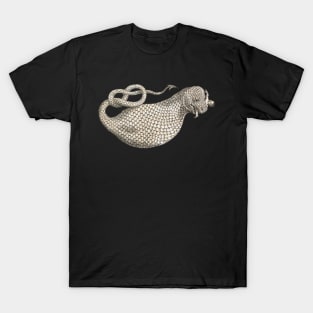 The Boas T-Shirt